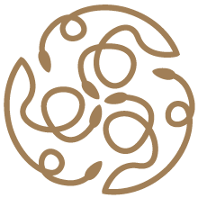Logo Holistic Rgb Kopie