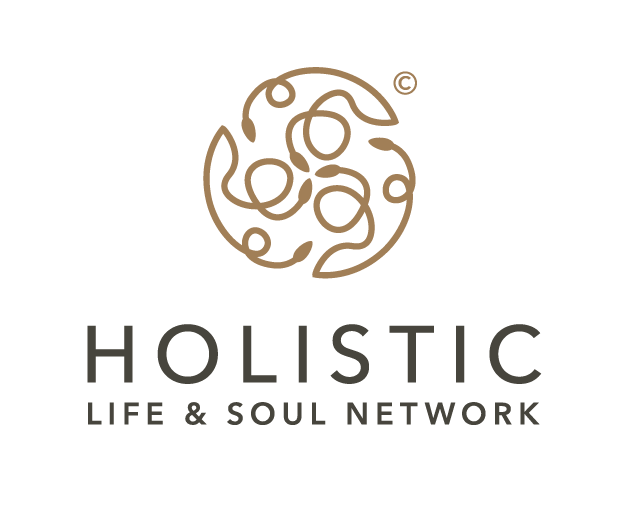 Holistic Network Logo